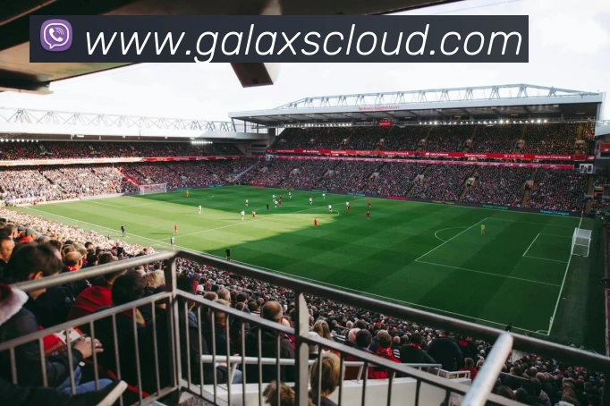 体育直播服务